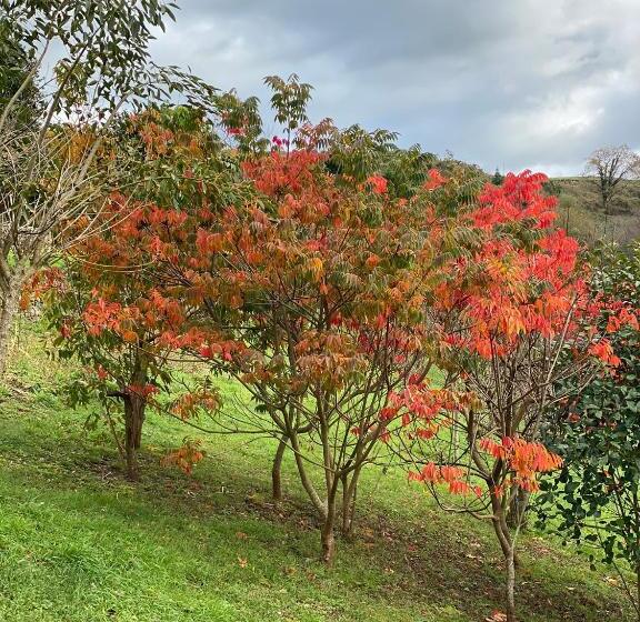 هتل Finca Portizuelo