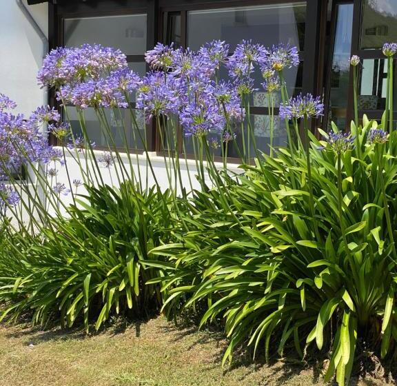 هتل Finca Portizuelo