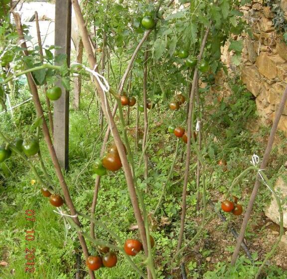 هتل Finca Portizuelo