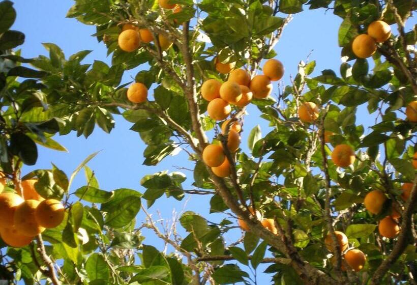 هتل Finca Portizuelo