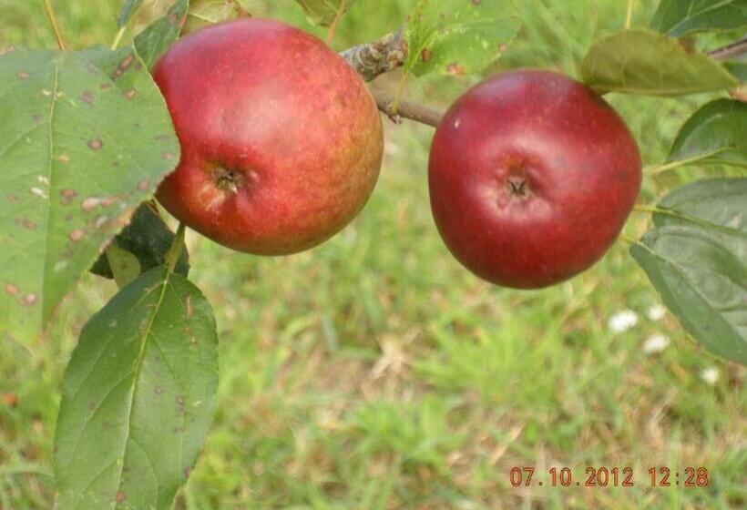 هتل Finca Portizuelo