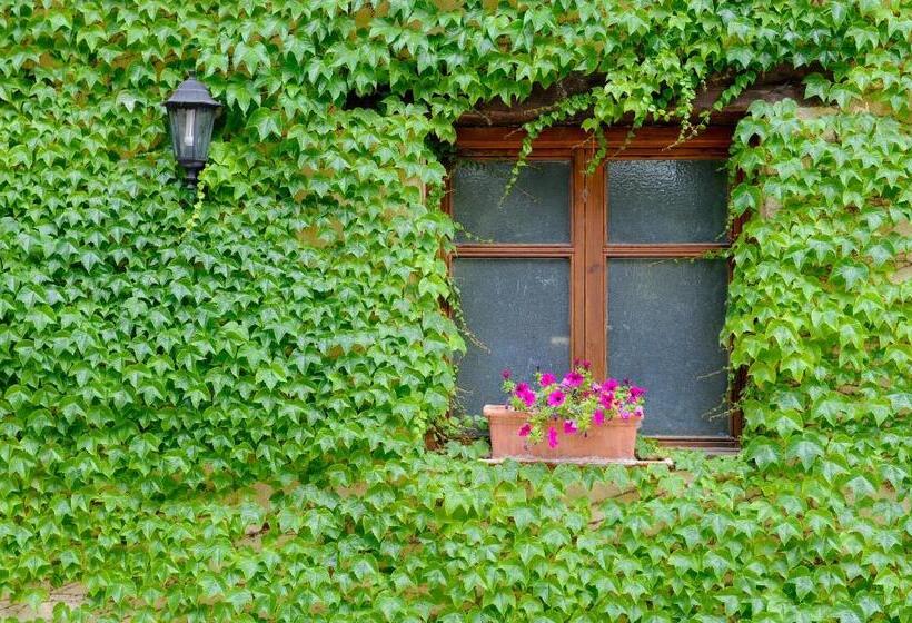 בית מלון כפרי Font Del Pas