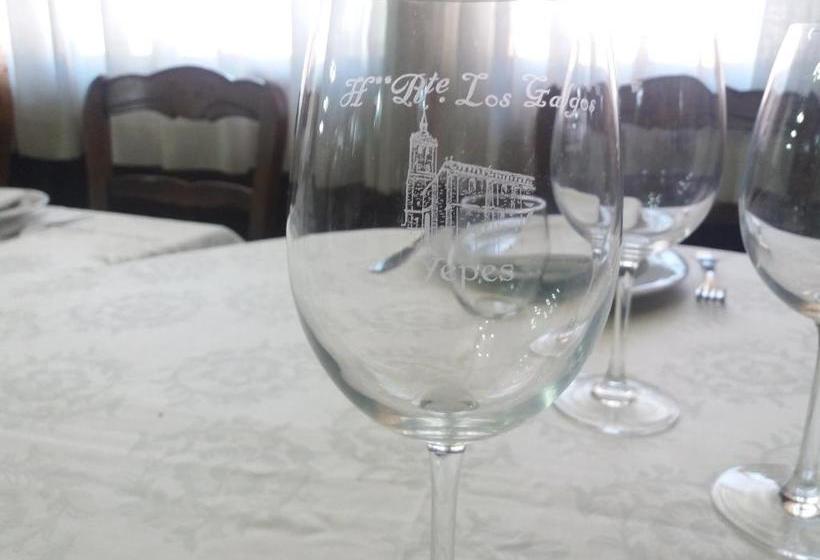 Отель Hostal Los Galgos