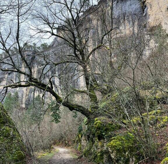 فندق Hostal Rural Amador