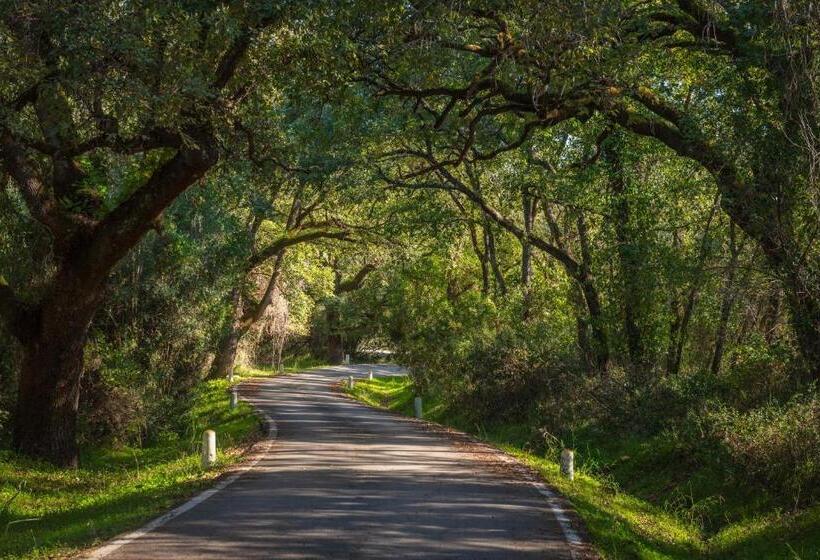 Отель La Almoraima