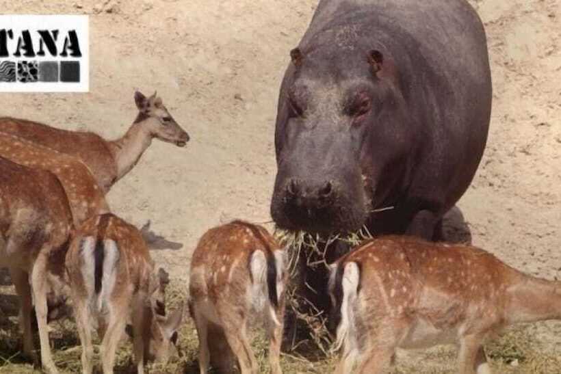 호텔 La Escondida Singular S S