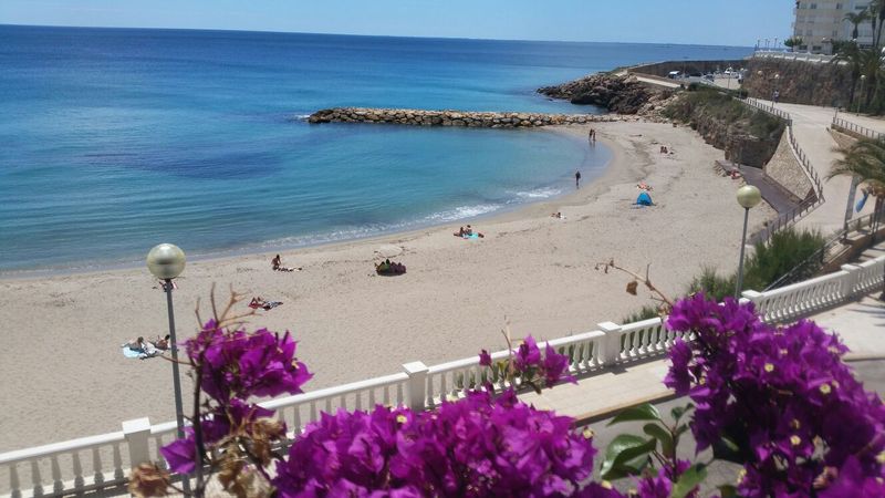 בית מלון כפרי Alguer