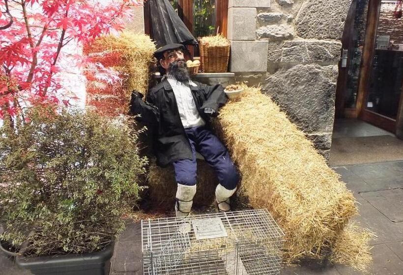 هتل Larramendi Torrea