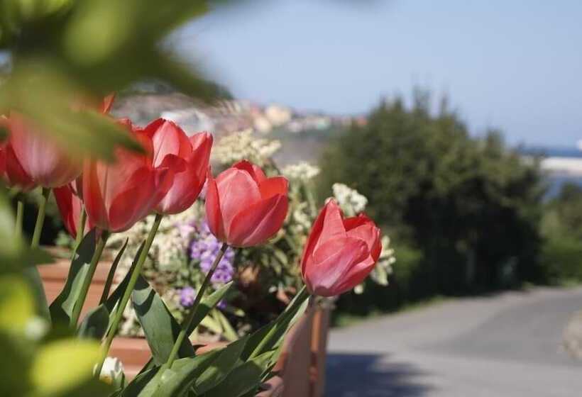 בית מלון כפרי Los Laureles