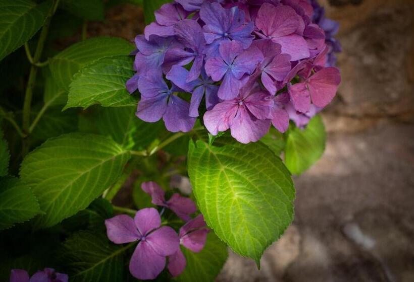 ホテル Mas 1670  Adults Only