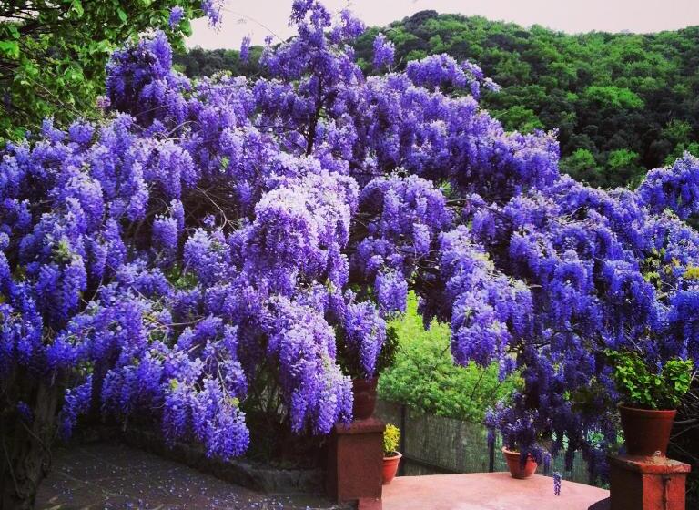 فندق Masia Vista Hermosa