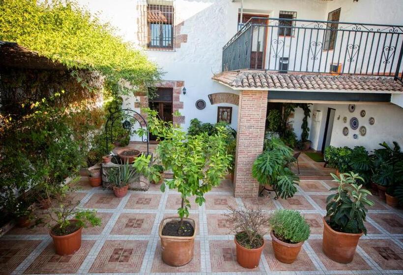 ホテル Palacio Del Intendente