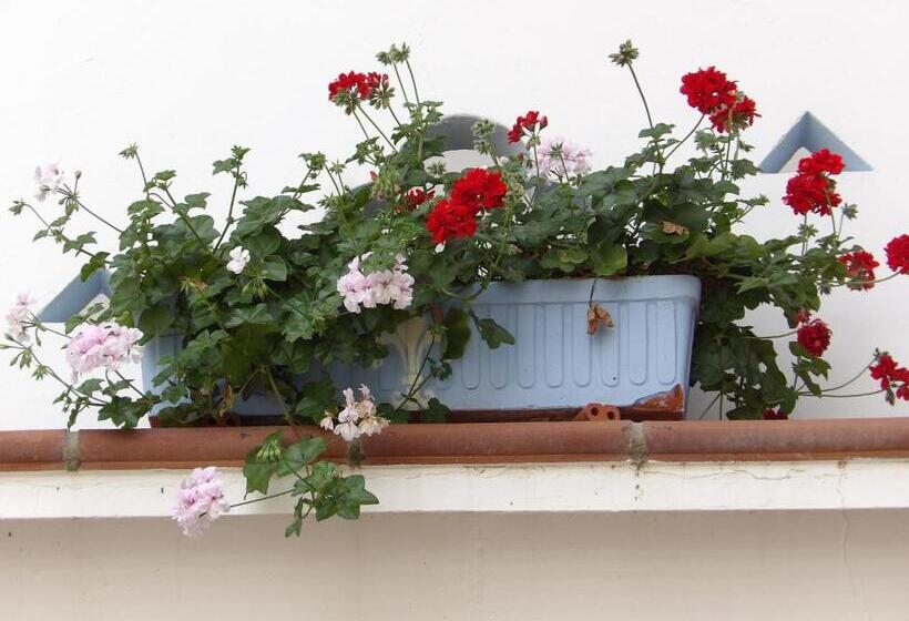 ホテル Palacio Doñana , Rural & Luxury