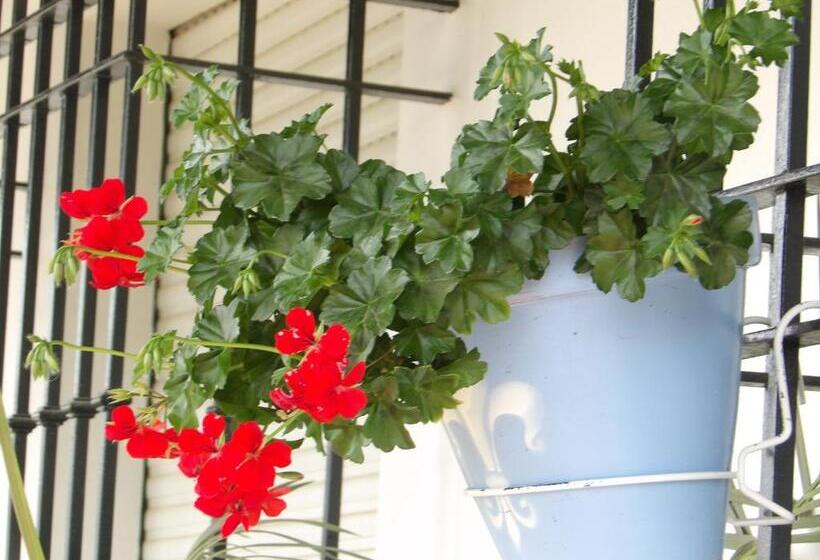 ホテル Palacio Doñana , Rural & Luxury