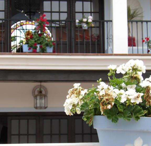 ホテル Palacio Doñana , Rural & Luxury