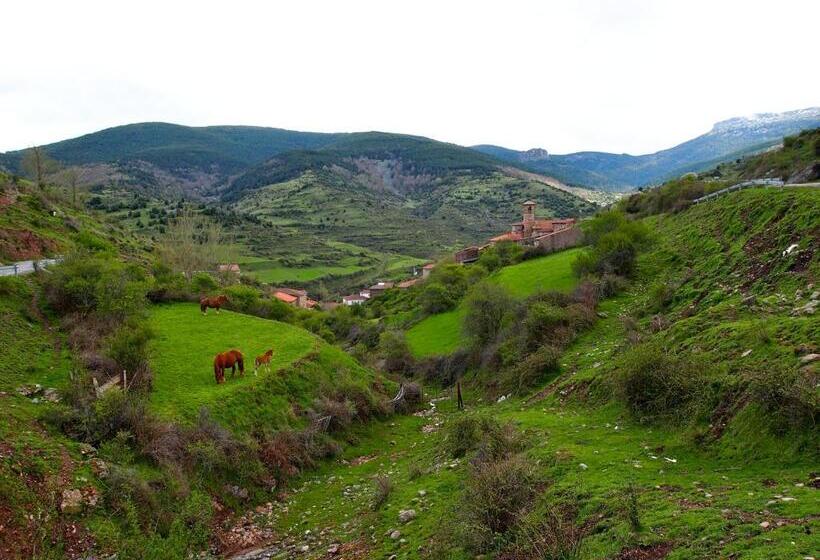 בית מלון כפרי Posada Real La Almazuela
