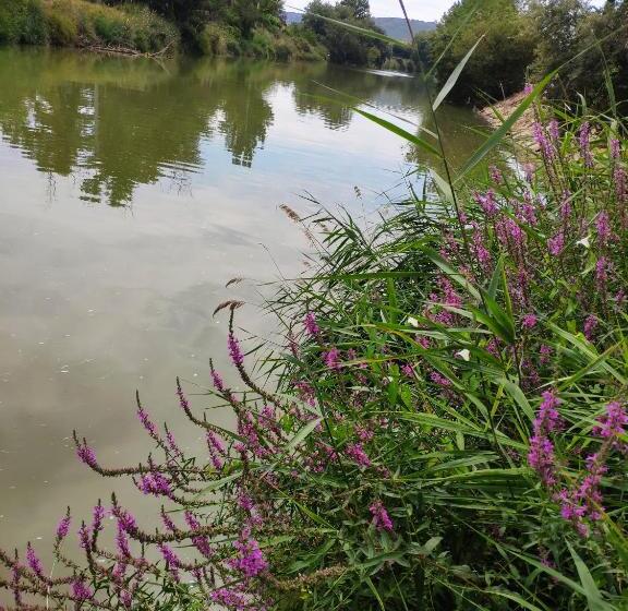 ホテル Puerta Del Arco