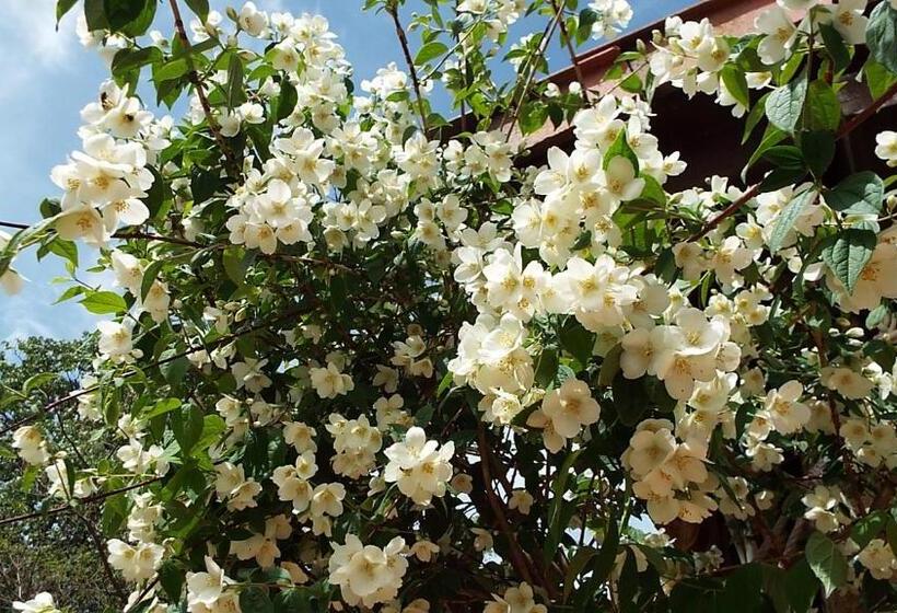 ホテル Rural El Camino