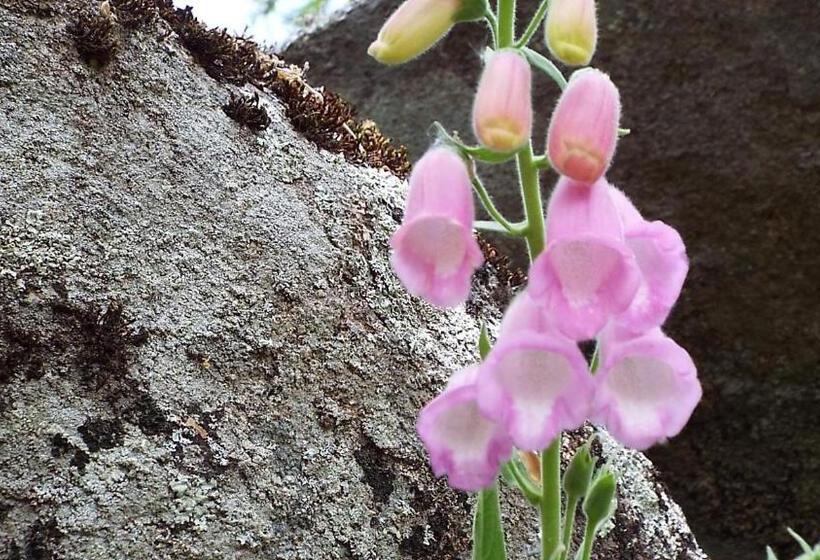 ホテル Rural El Camino