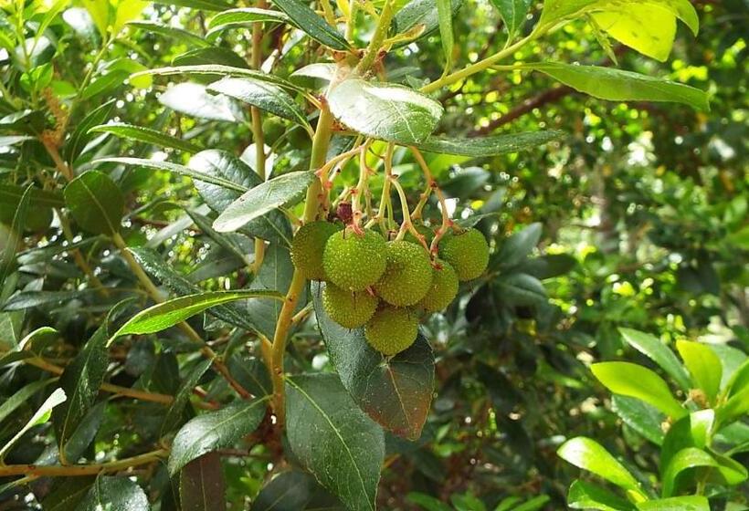 ホテル Rural El Camino