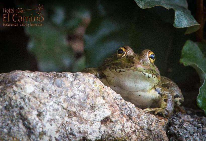 ホテル Rural El Camino