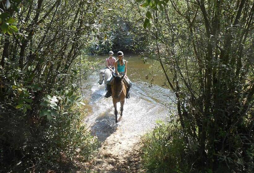 ホテル Rural La Plazuela