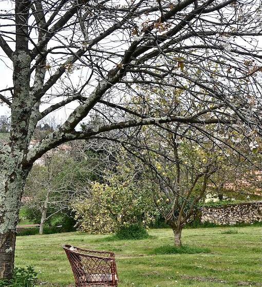 Отель Rural La Raposera