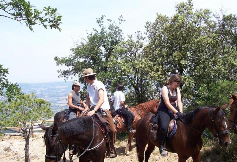 בית מלון כפרי Rural Ocell Francolí