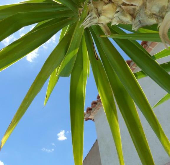 Отель Rural Sisapo