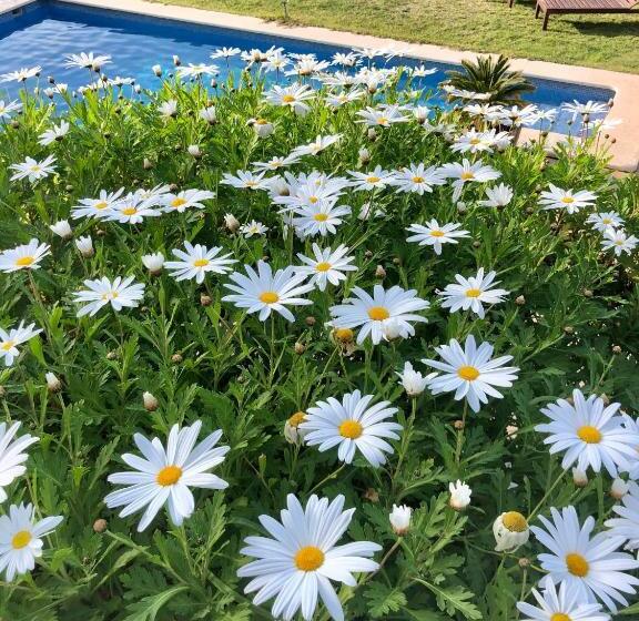 ホテル Sa Plana Petit