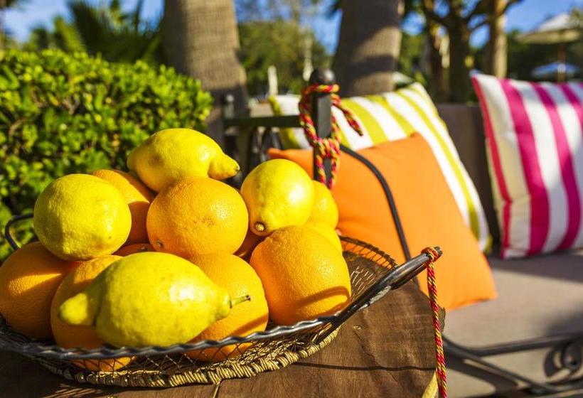 酒店 Ses Rotes Velles   Petit