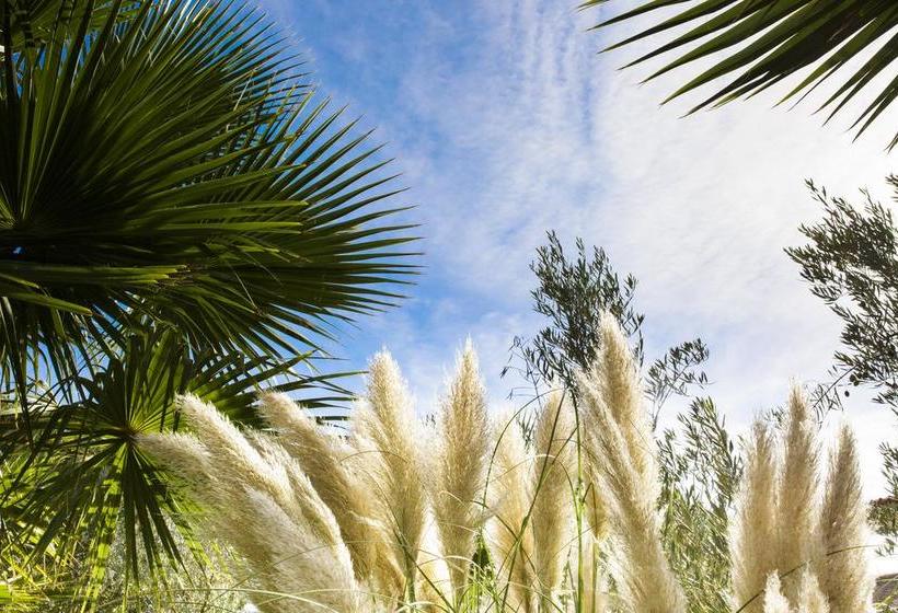 Отель Ses Rotes Velles   Petit