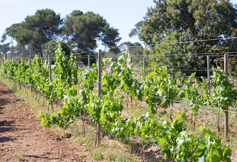 호텔 Ses Rotes Velles   Petit