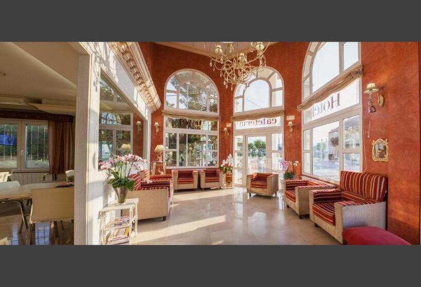 בית מלון כפרי Versalles