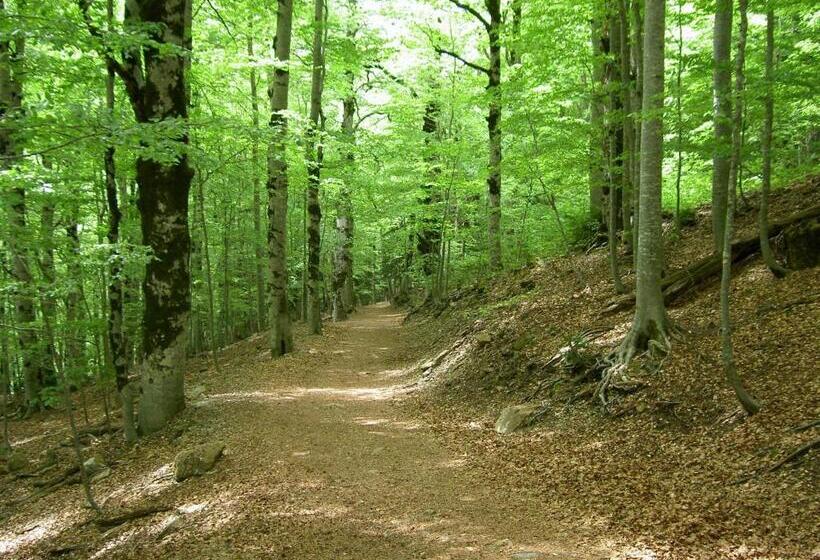 فندق Villa Russell