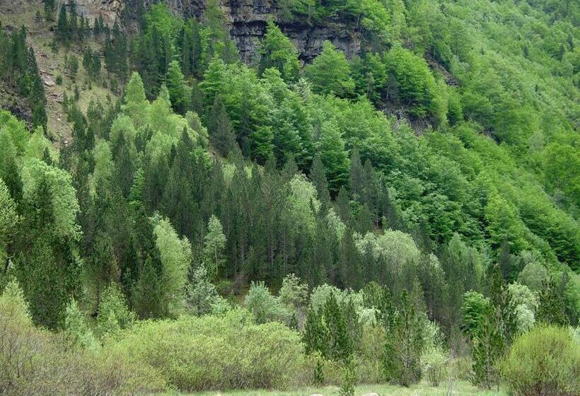 فندق Villa Russell