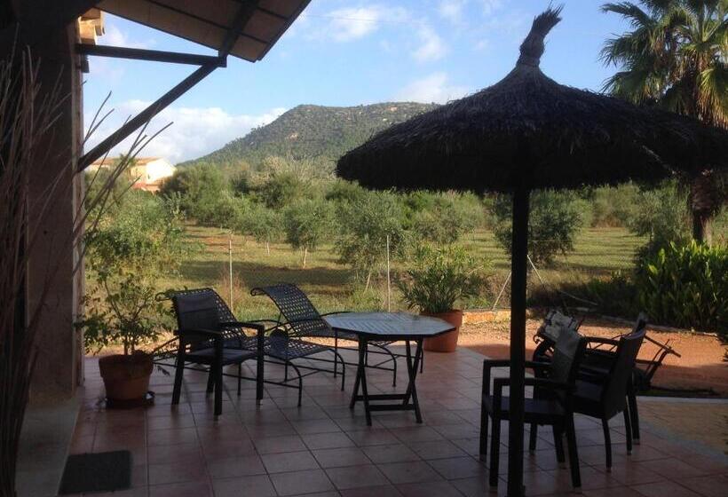 בית מלון כפרי Villa Sampoli   Agroturismo Son Sampoli   Adults Only