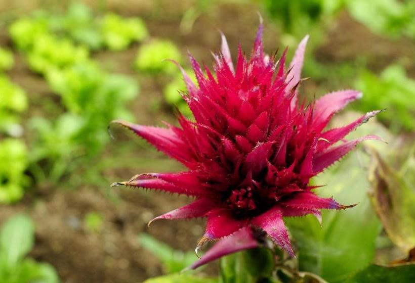 La Terrera Youth Hostel