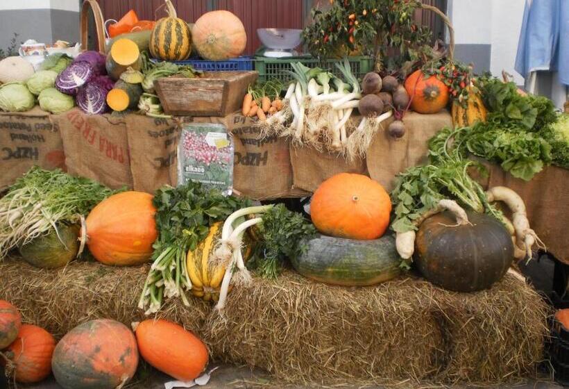 Larraenea Bed And Breakfast