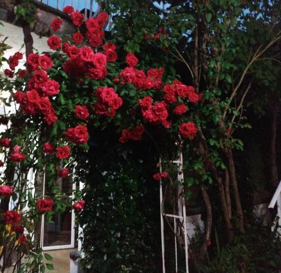 Pension Albergue Don Alvaro