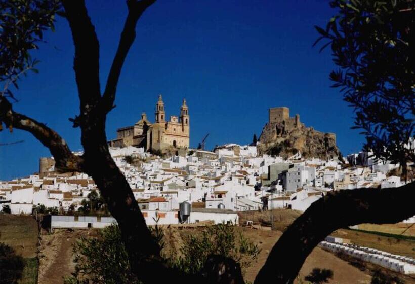 اقامتگاه Complejo Pueblo Blanco