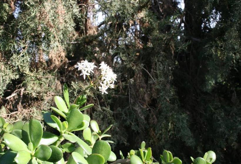 إقامة Villa Campillo