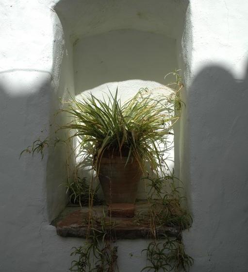 Резиденция Villa Del Municipal