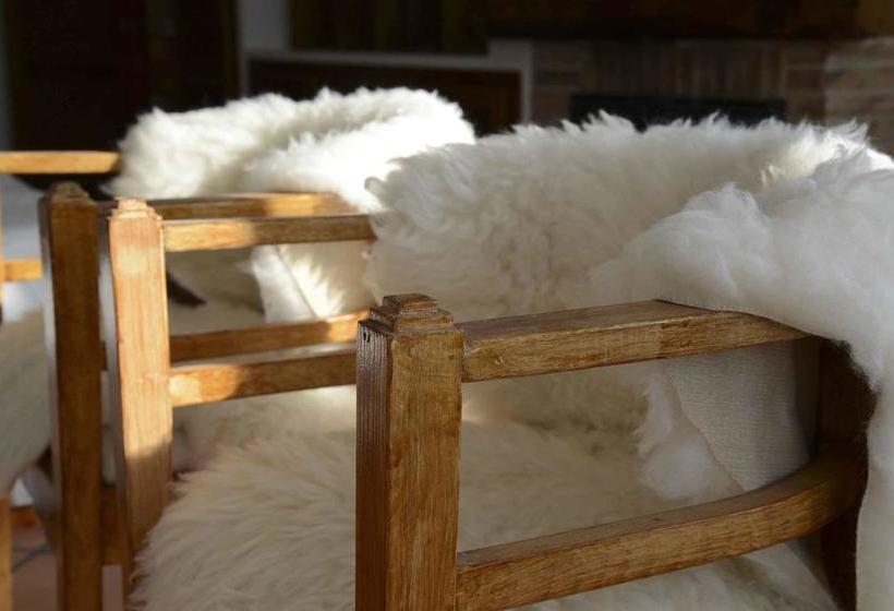 اقامتگاه Villa Samar Altea