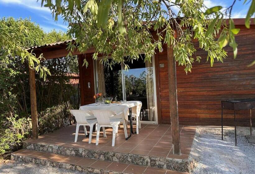 استراحتگاه Cabañas Cortijo El Helao