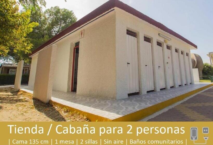 אתר נופש Camping L'alqueria