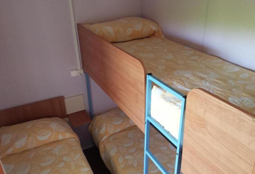 אתר נופש Camping L'alqueria