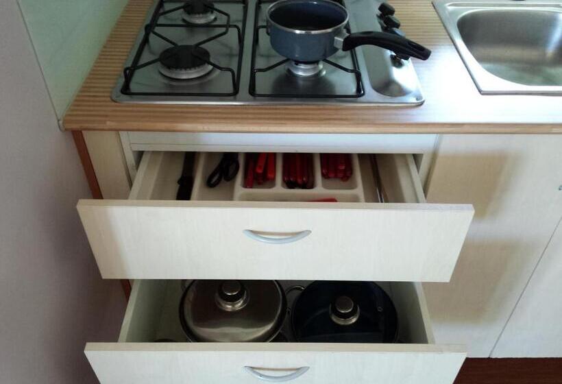 אתר נופש Camping L'alqueria