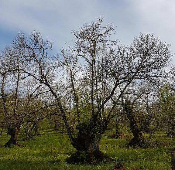 منتجع Finca La Viriñuela