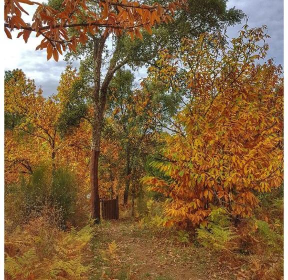 منتجع Finca La Viriñuela